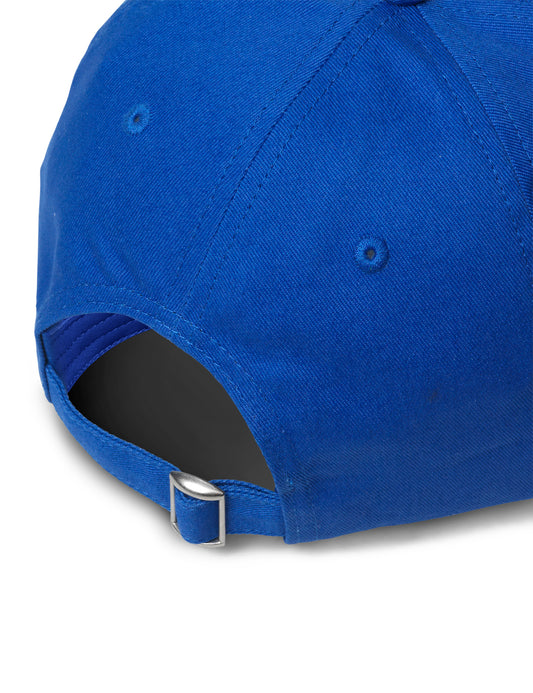 Recy Twill Coal Cap, Bluing